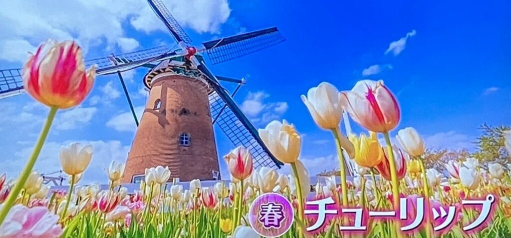 オランダ風車「リーフデ」